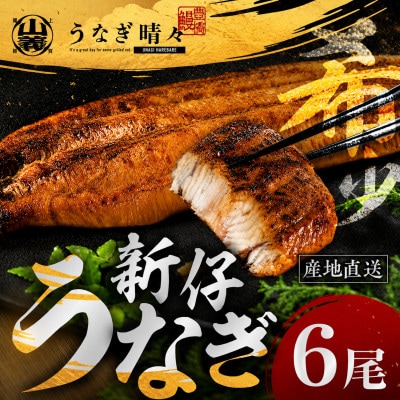 『うなぎ晴々』希少な若うなぎ 蒲焼6尾 国産 養殖場直送 ふっくら やわらか