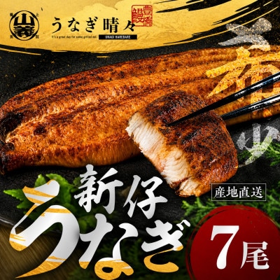 『うなぎ晴々』希少な若うなぎ 蒲焼7尾 国産 養殖場直送 ふっくら やわらか