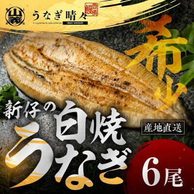 『うなぎ晴々』希少な若うなぎ 白焼5尾 国産 養殖場直送 ふっくら やわらか