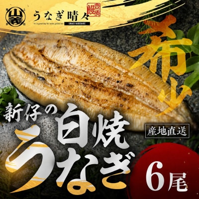 『うなぎ晴々』希少な若うなぎ 白焼6尾 国産 養殖場直送 ふっくら やわらか