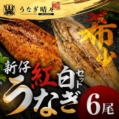 『うなぎ晴々』希少な若うなぎ 紅白セット6尾(蒲焼4尾・白焼2尾) 豊橋産　鰻　養殖場直送 食べ比べ