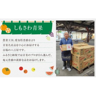 国産 生たもぎ茸 100g×10パック