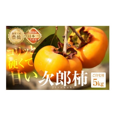 豊橋石巻産次郎柿(ご自宅用不揃い)5kg(15～25玉)