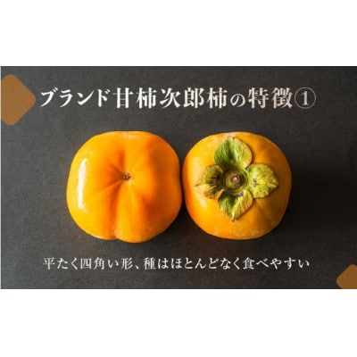 豊橋石巻産次郎柿(ご自宅用不揃い)5kg(15～25玉)