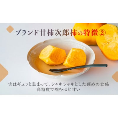 豊橋石巻産次郎柿(ご自宅用不揃い)5kg(15～25玉)