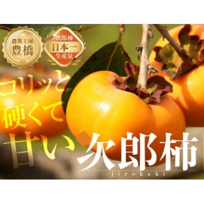 豊橋石巻産次郎柿(秀品大玉)3kg(10～15玉)
