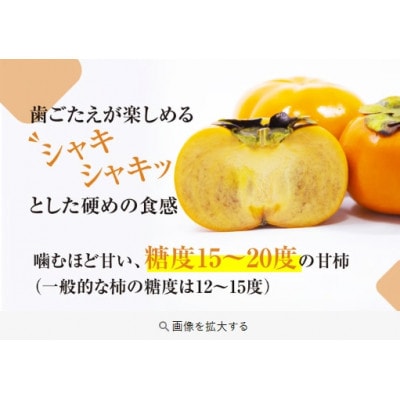 豊橋石巻産次郎柿(秀品大玉)3kg(10～15玉)