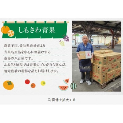 豊橋石巻産次郎柿(秀品大玉)3kg(10～15玉)