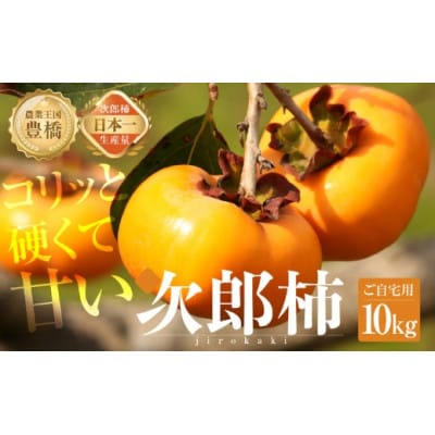 豊橋石巻産次郎柿(ご自宅用不揃い)10kg(30～50玉)