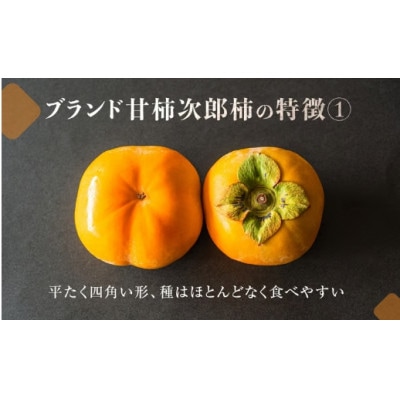 豊橋石巻産次郎柿(ご自宅用不揃い)10kg(30～50玉)