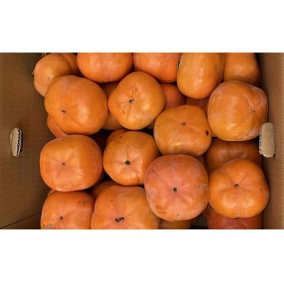 豊橋石巻産次郎柿(ご自宅用不揃い)10kg(30～50玉)