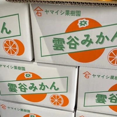 豊橋雲谷の　山石みかんご自宅用　2kg
