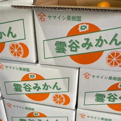 豊橋雲谷の　山石みかんご自宅用　4kg