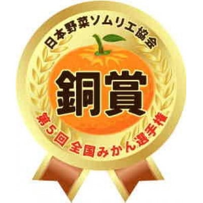 豊橋雲谷の　山石みかんご自宅用　8kg