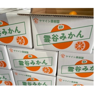 豊橋雲谷の　山石みかんご自宅用　8kg
