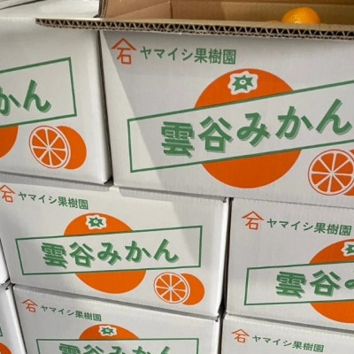 豊橋雲谷の　山石みかん　小玉みかん(M～S)4kg　みかんは小玉が一番美味しい!