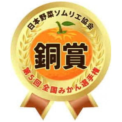 豊橋雲谷の　山石みかん　小玉みかん(M～S)10kg　小玉みかんが一番美味しいよ!