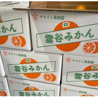 豊橋雲谷の　山石みかん　小玉みかん(M～S)10kg　小玉みかんが一番美味しいよ!