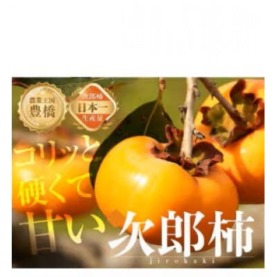 豊橋石巻産次郎柿(ご自宅用不揃い)2kg(8～12玉)