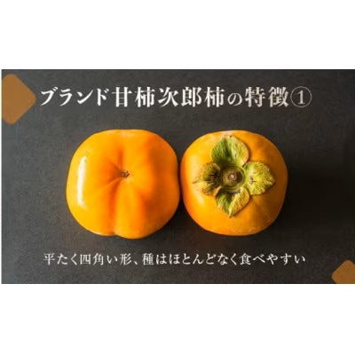 豊橋石巻産次郎柿(ご自宅用不揃い)2kg(8～12玉)