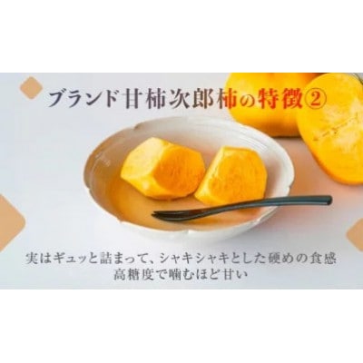 豊橋石巻産次郎柿(ご自宅用不揃い)2kg(8～12玉)