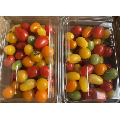 究極の フルーツトマト ミックス1kg 宝石箱