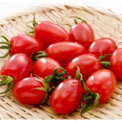 豊橋産　訳あり　ミニトマト　アイコ　約3kg