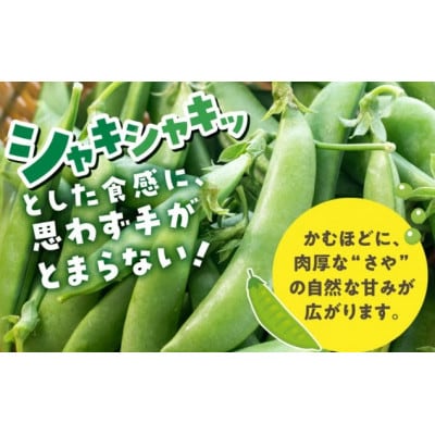 豊橋産　スナックエンドウ　約250g