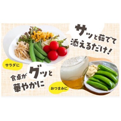 豊橋産　スナックエンドウ　約250g
