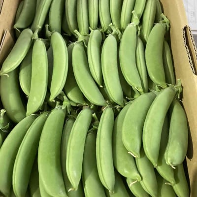 豊橋産　スナックエンドウ　約1kg