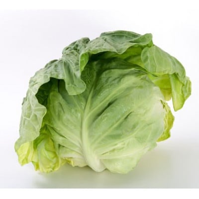 豊橋産　春キャベツ5kg(3～4玉)