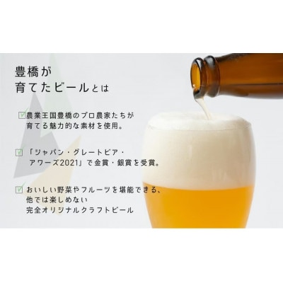 ジャパン・グレートビア・アワーズ2021金賞&銀賞受賞!　豊橋が育てたクラフトビール2種6本セット