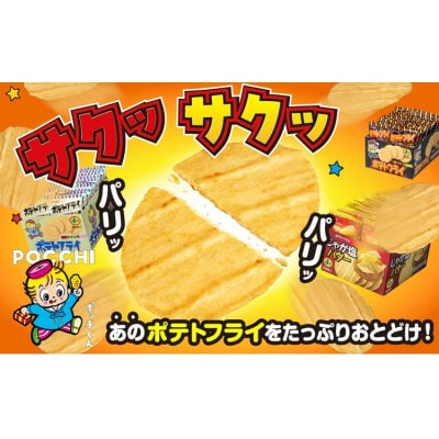 ポテトフライ おまかせ2箱 (4枚(11g)×20袋入×2箱)