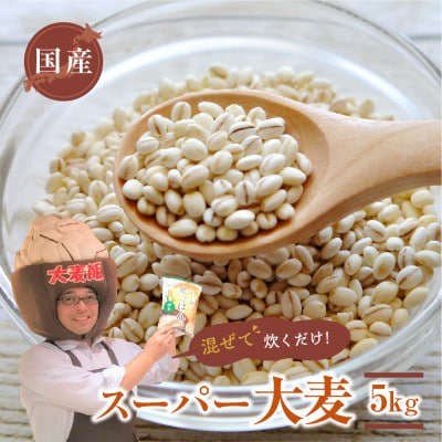 国産スーパー大麦 ビューファイバー 5kg