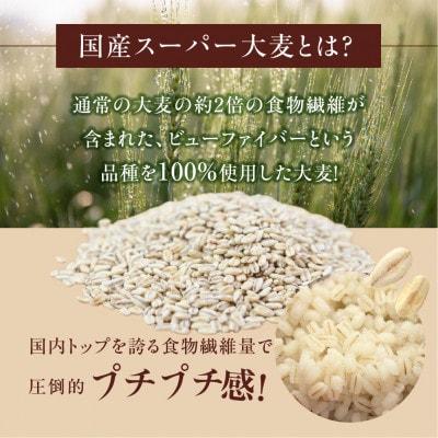 国産スーパー大麦 ビューファイバー 5kg