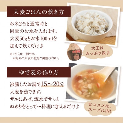 国産スーパー大麦 ビューファイバー 5kg