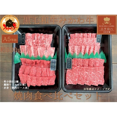 黒毛和牛みかわ牛A5等級　希少部位 食べ比べ焼肉セット 約1kg
