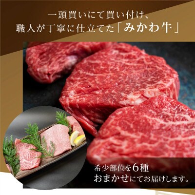 黒毛和牛(A4～A5等級みかわ牛)　部位おまかせ　100g×6部位