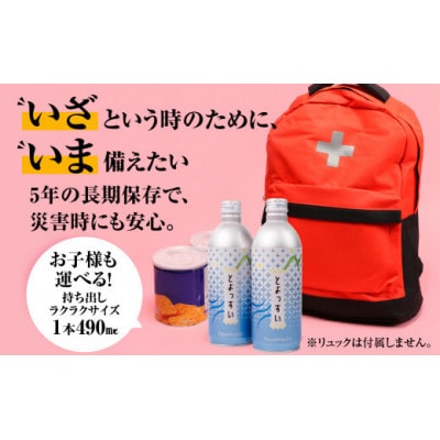 災害備蓄用飲料水「とよっすい」490ml × 24本　5年保存