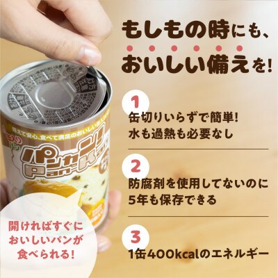 5年保存　缶入りパン「パンカン!」チョコチップ味12缶入り　防災の備蓄に