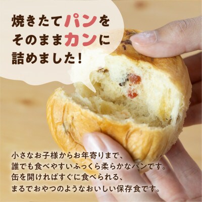 5年保存　缶入りパン「パンカン!」レーズン味12缶入り　防災の備蓄に