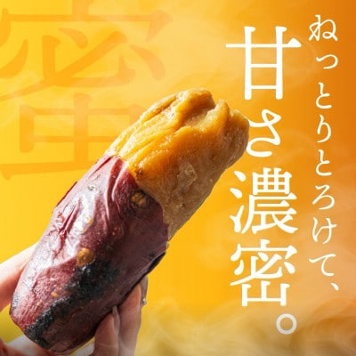 焼き芋専門店 芋ひさ『焼き芋アイス(紅はるか)8個セット』