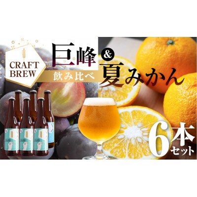 クラフトビール『DAMONDE』巨峰・夏みかん(2種6本セット)