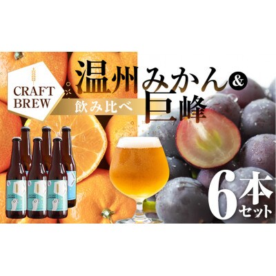 クラフトビール『DAMONDE』 巨峰 温州みかん(2種6本 セット)