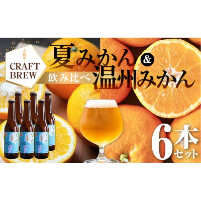 クラフトビール『DAMONDE』夏みかん・温州みかん(2種6本セット)