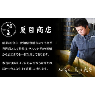 豊橋うなぎ 白焼 4尾 約600g