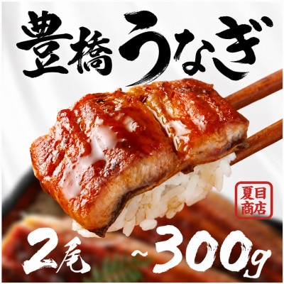 豊橋うなぎ 蒲焼 2尾