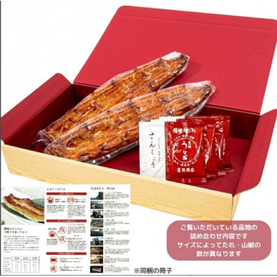 豊橋うなぎ 蒲焼 2尾