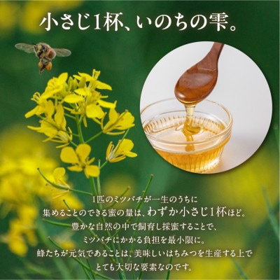 【kosaji】春はちみつ300g