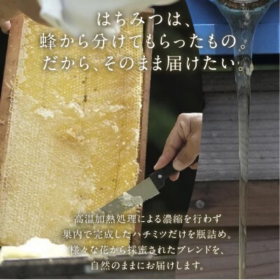 【kosaji】春はちみつ150g+100g 瓶入り ギフトセット